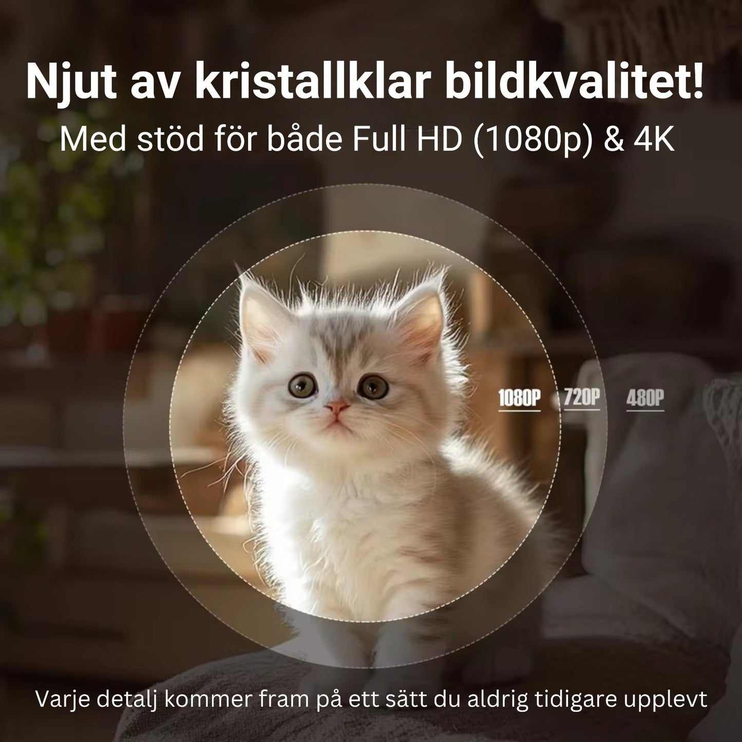 PixelVison - 4K projektorn som förvandlar vilken vägg som helst till en bio